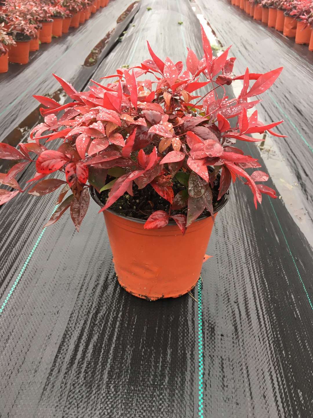 關于品質，我們“用圖”說話