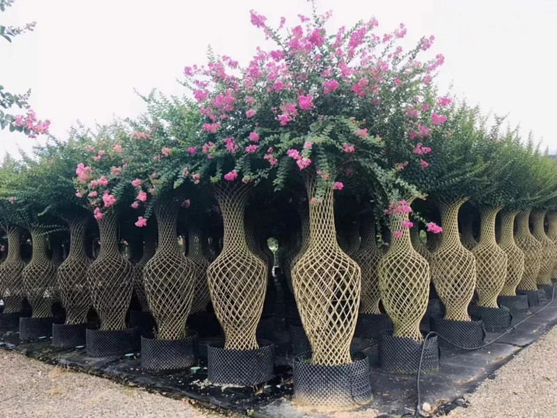 泰安市發(fā)改委副主任林敬到汶陽(yáng)鎮(zhèn)督導(dǎo)重點(diǎn)項(xiàng)目復(fù)工開(kāi)工及疫情防控工作